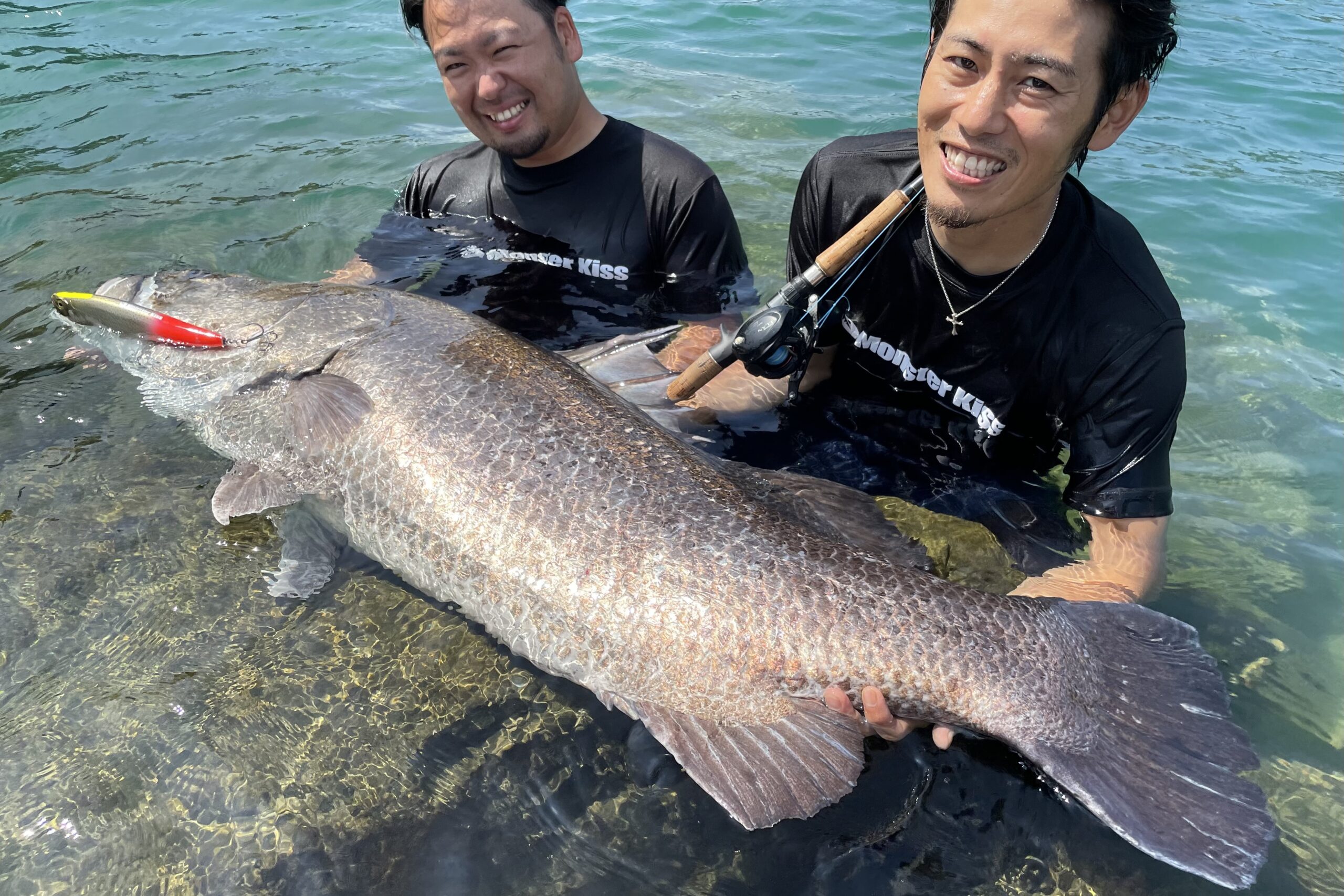 ディアモンスター MX-7 パックロッド モンスターキス ビッグベイト 怪 ...