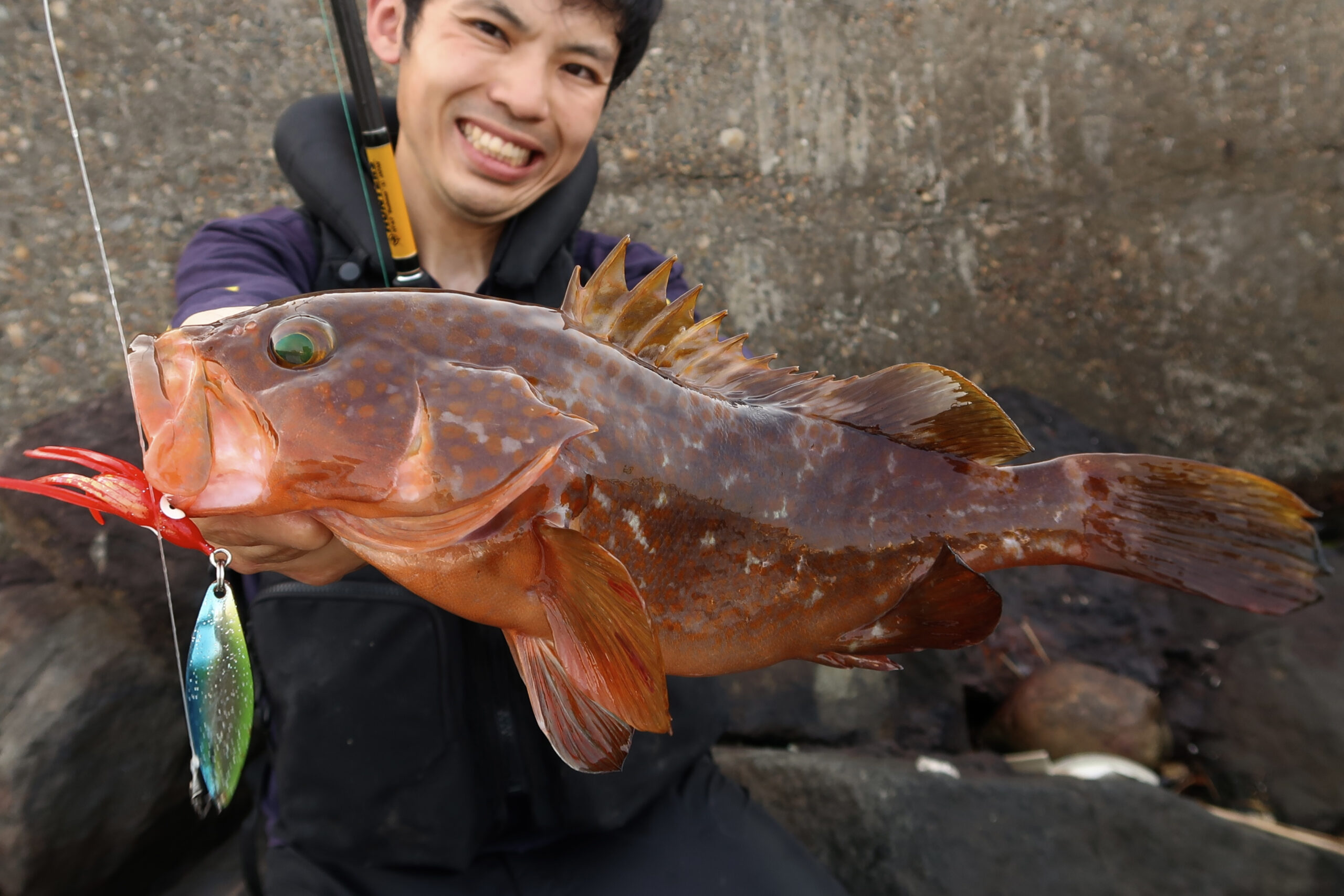北陸のソルトに秘密兵器 スプーン キジハタ を約1年やり込んで Monster Kiss モンスターキス