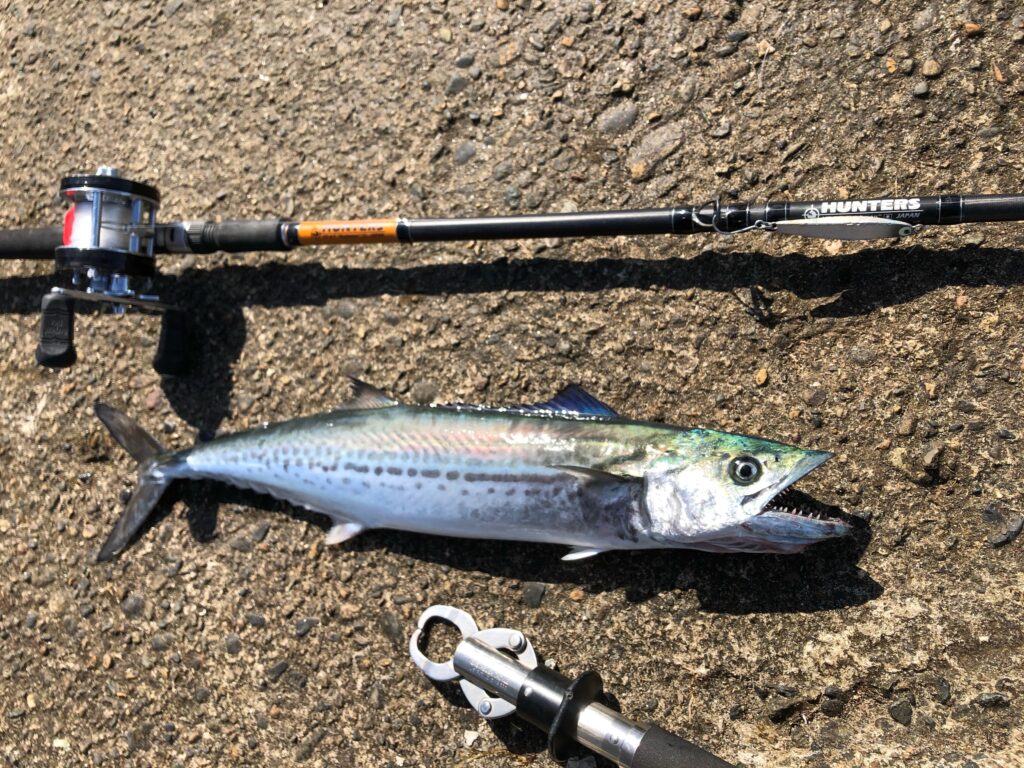 保存版】再販に寄せて。「HT-7/8」“漆黒セブン”他、川上的「HUNTERS 