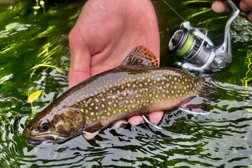 500番は旅番手」。超小型スピニングリールで広がる釣り旅の可能性  